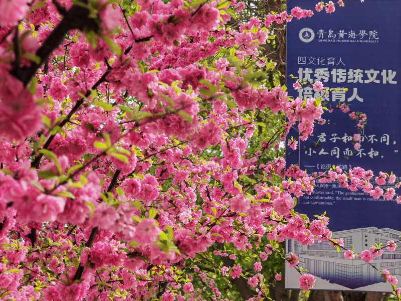 微信图片_20260904103941_83_4.png