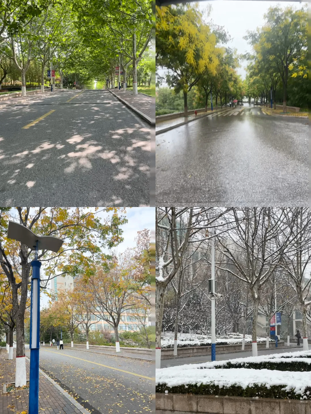 微信图片_20260907143624_198_4.png
